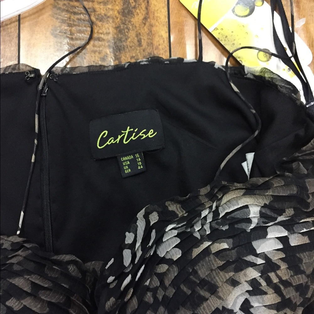 Cartise - Picture 3 of 3